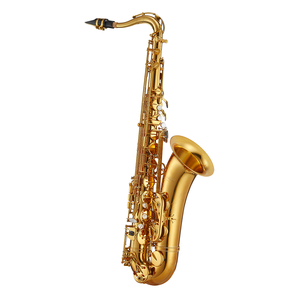 antigua winds alto saxophone a520lq saxophone